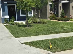 Nelly A.'s Lawn Care service result