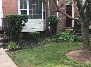 Bush Trimming by Joseph Pinto for Dominique S. in Gaithersburg, MD