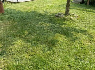 Elijah M.'s Lawn Mowing Service service result