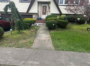 Bush Trimming by Emanuel Botelho for Katherine W. in Woodbridge Township, NJ
