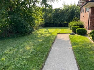 Pamela H.'s Lawn Mowing service result