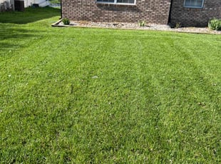 Kim M.'s Lawn Service service result