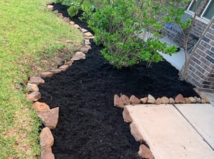Weeding by Antonio Infante for Rico Z. in Houston, TX