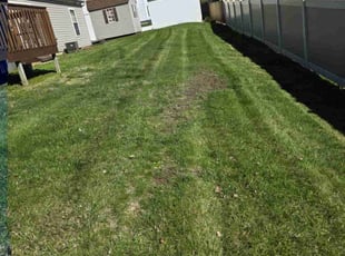 Teresa W.'s Lawn Mowing service result