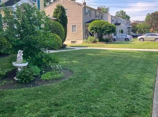 Devesh N.'s Lawn Care service result