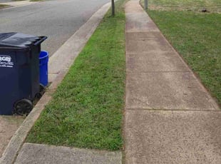 Jenny W.'s Lawn Service service result