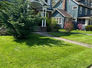 Anett M.'s Lawn Care service result
