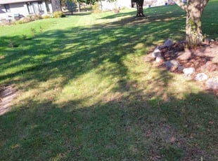 Libbi R.'s Lawn Mowing Service service result