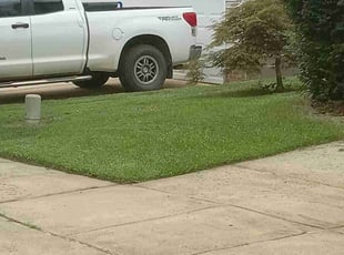 Joel F.'s Lawn Maintenance service result