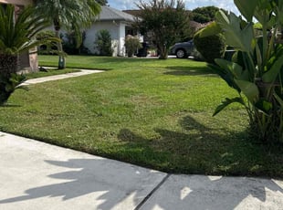 Ruby L.'s Lawn Service service result