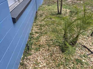 Weeding by George Shuler for Courtney L. in Tampa, FL