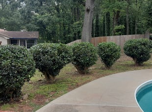 Cleanups by Hugo lopez for Mechelle P. in Marietta, GA