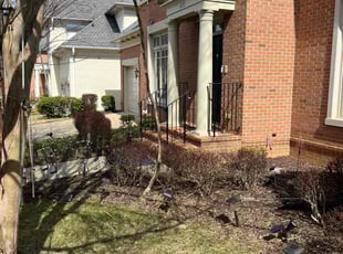 Bush Trimming by Steven Foster for Shivani B. in Bethesda, MD