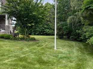 Angela B.'s Lawn Service service result