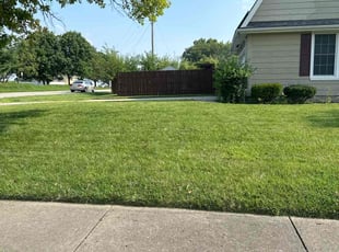 Anita B.'s Lawn Mowing Service service result