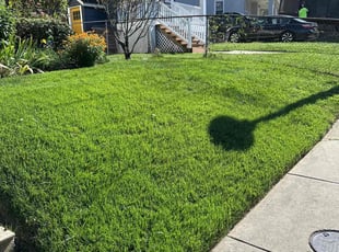 Keonne S.'s Lawn Service service result