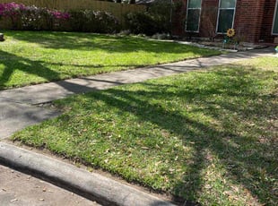 Luz M.'s Lawn Service service result