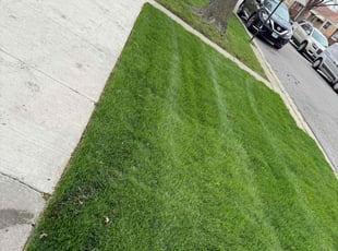 Robert S.'s Lawn Service service result