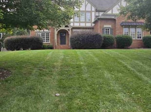 Shazia H.'s Lawn Mowing Service service result