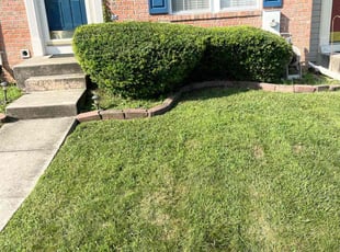 Bush Trimming by Reginald Blue for Melissa D. in Joppatowne, MD