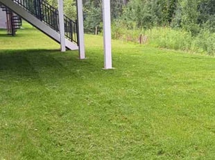Ray Y.'s Lawn Maintenance service result