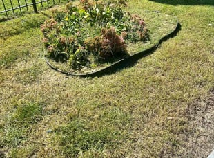 Bush Trimming by Caree Keith for Joseph M. in Washington, DC