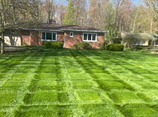 Christa A.'s Lawn Mowing service result