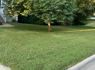 Leah R.'s Lawn Mowing Service service result