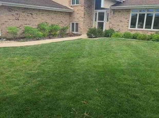Hana R.'s Lawn Mowing service result