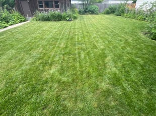 Rosemary W.'s Lawn Care service result