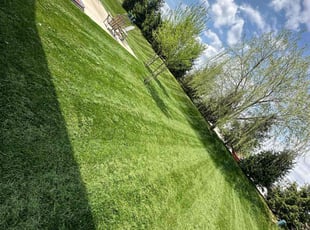 Titus R.'s Lawn Service service result