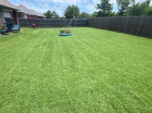 Brandy M.'s Lawn Mowing service result