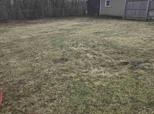 Leaf Removal by David Lopez for Pat c. in Crystal Lake, IL