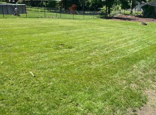 Sam W.'s Lawn Mowing service result