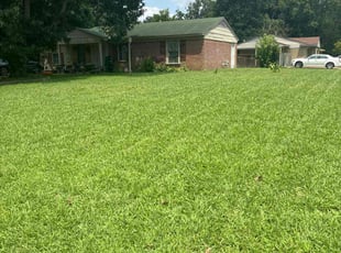 Stacie N.'s Yard Cutting service result