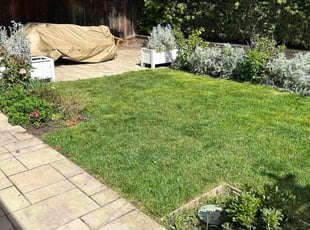 James C.'s Lawn Service service result