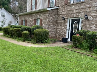 Bush Trimming by Delbert Rosa for Mila C. in Conyers, GA