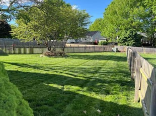 Elliott B.'s Lawn Maintenance service result