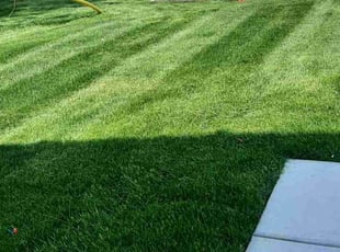 Debra K.'s Lawn Service service result