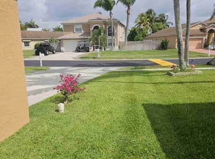 Peter S.'s Lawn Mowing Service service result