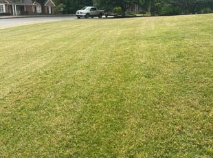 Cleanups by Jon Jarrell for Ryan V. in Alpharetta, GA