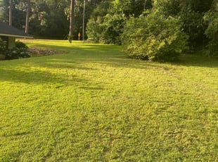 Ken S.'s Yard Cutting service result
