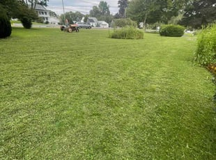 Johanna S.'s Lawn Mowing service result