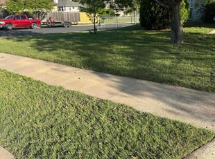 jennifer h.'s Lawn Mowing service result
