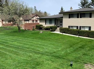 Rene G.'s Lawn Service service result