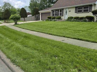 Rick R.'s Lawn Mowing Service service result