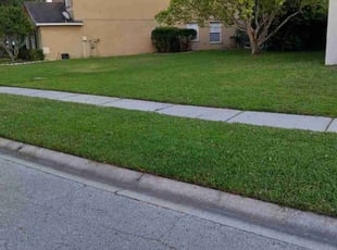 Stephanie C.'s Yard Cutting service result