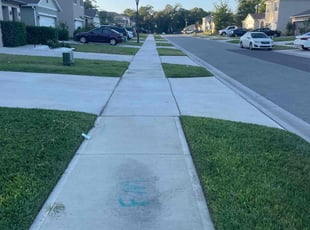 Dixon A.'s Grass Cutting service result