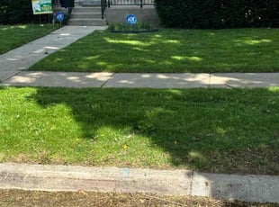 Georgina N.'s Lawn Mowing service result
