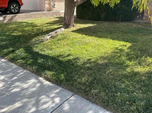 Kenneth L.'s Lawn Care service result